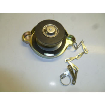 Крышка радиатора/Radiator cap (R4105ZDS1)